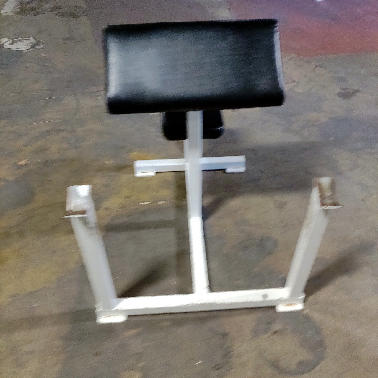 Preacher Curl Bench