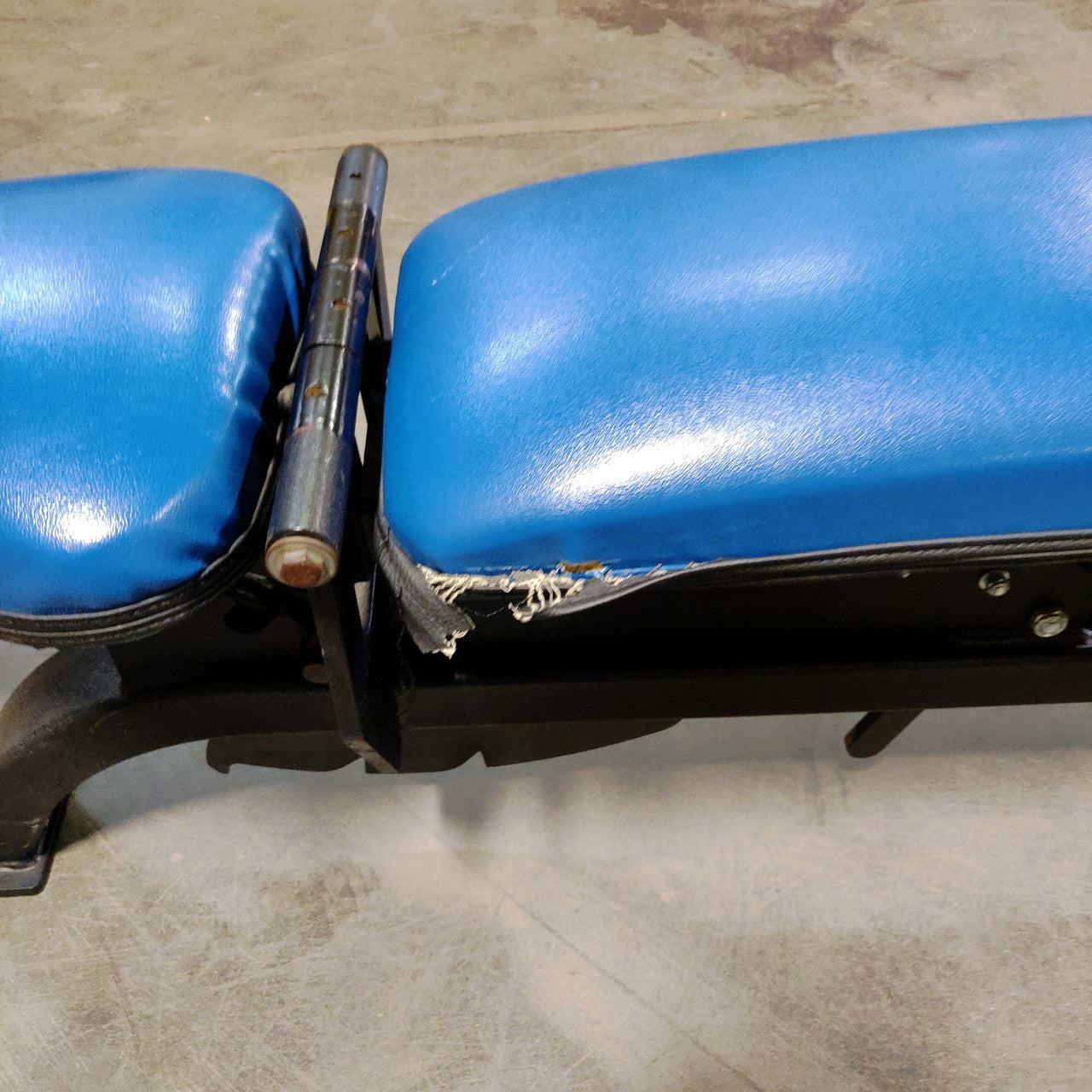 Promaxima Adjustable Weight Bench