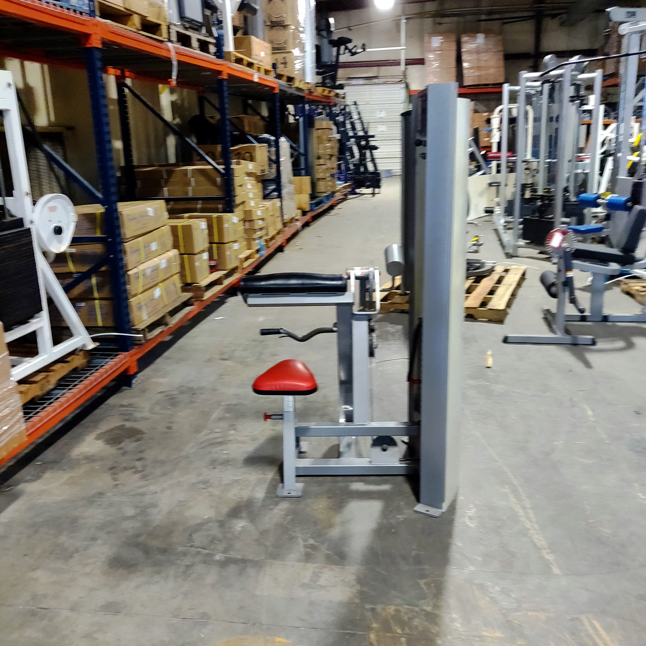 Promaxima Bicep Curl