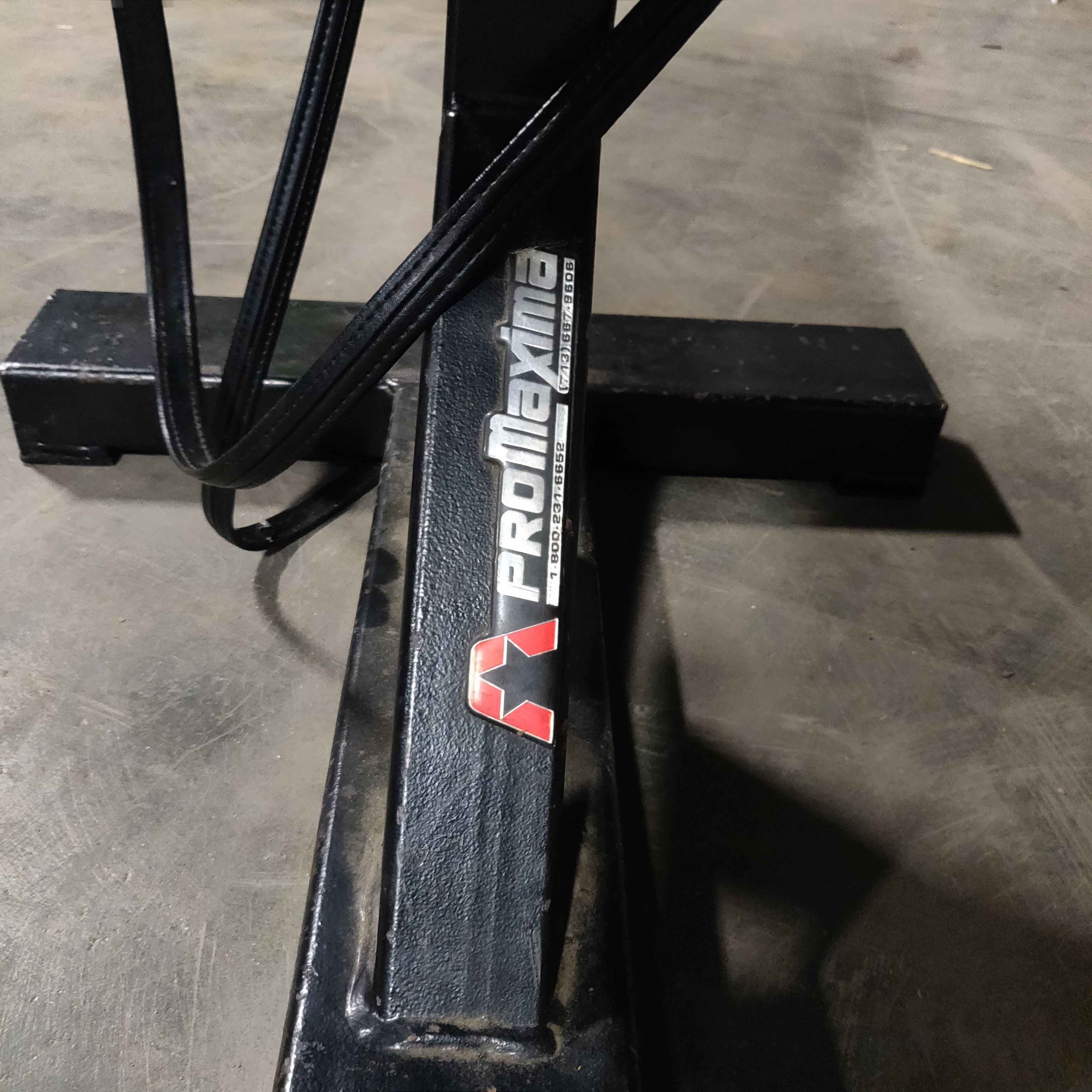 Promaxima Utility Bench