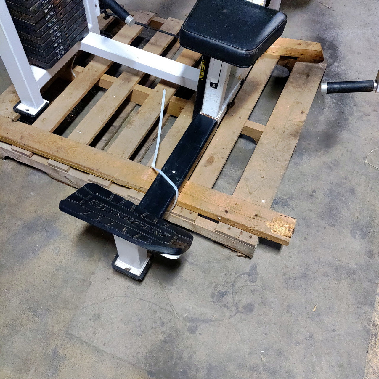 RARE Atlantis Isolated Bicep Curl Vintage