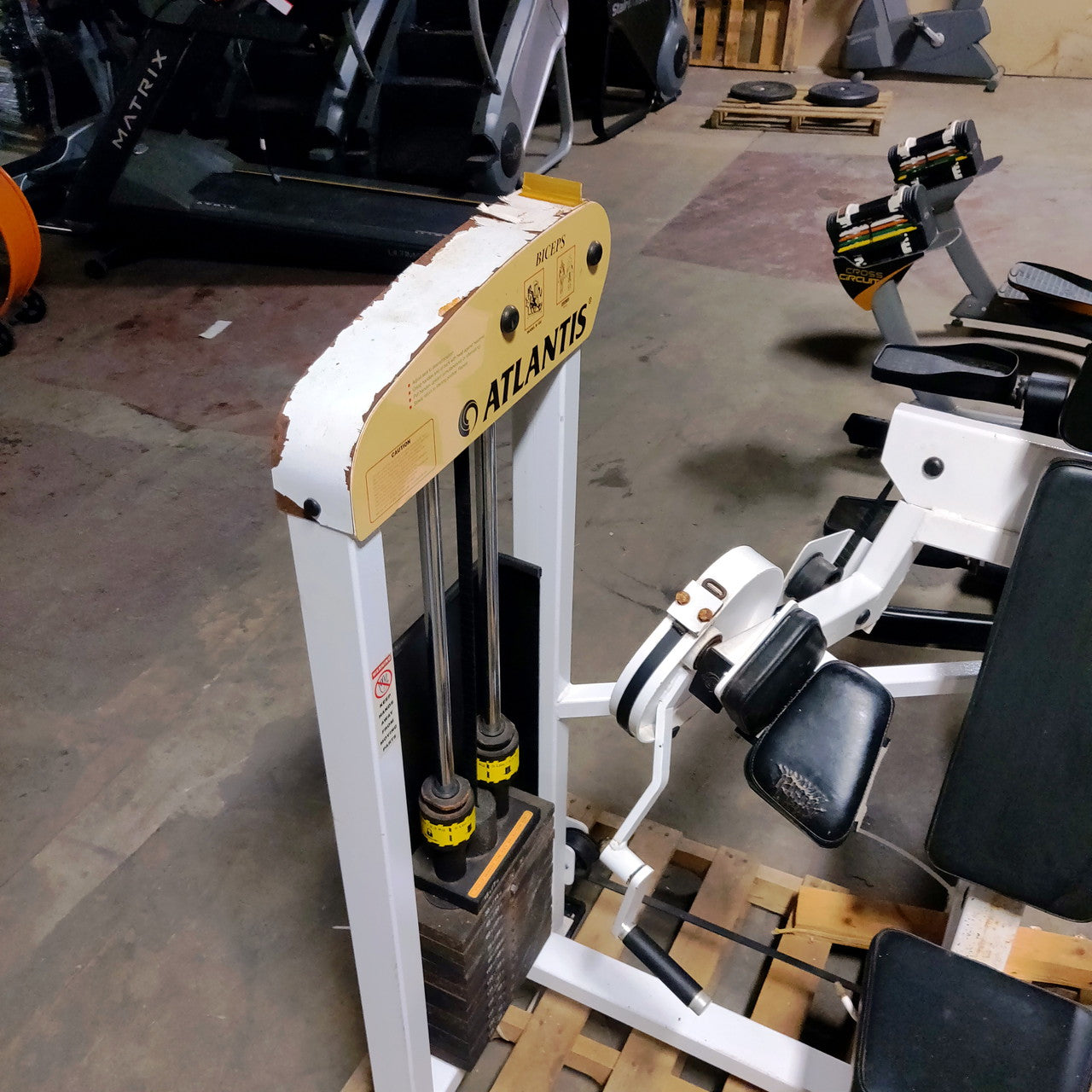 RARE Atlantis Isolated Bicep Curl Vintage