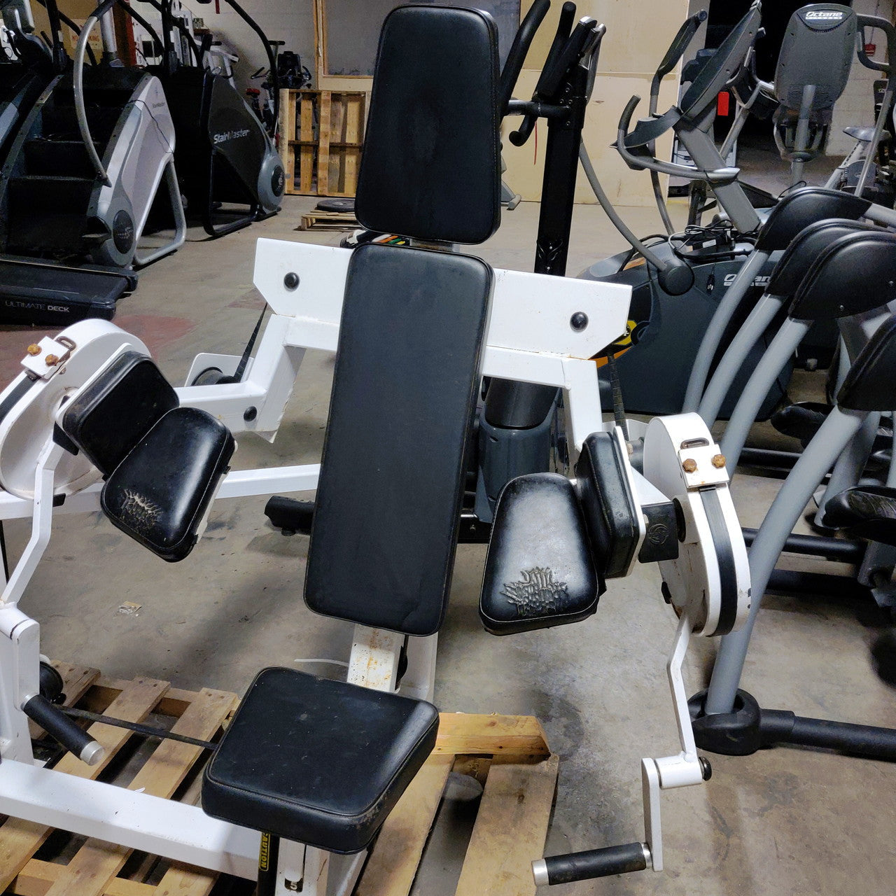 RARE Atlantis Isolated Bicep Curl Vintage