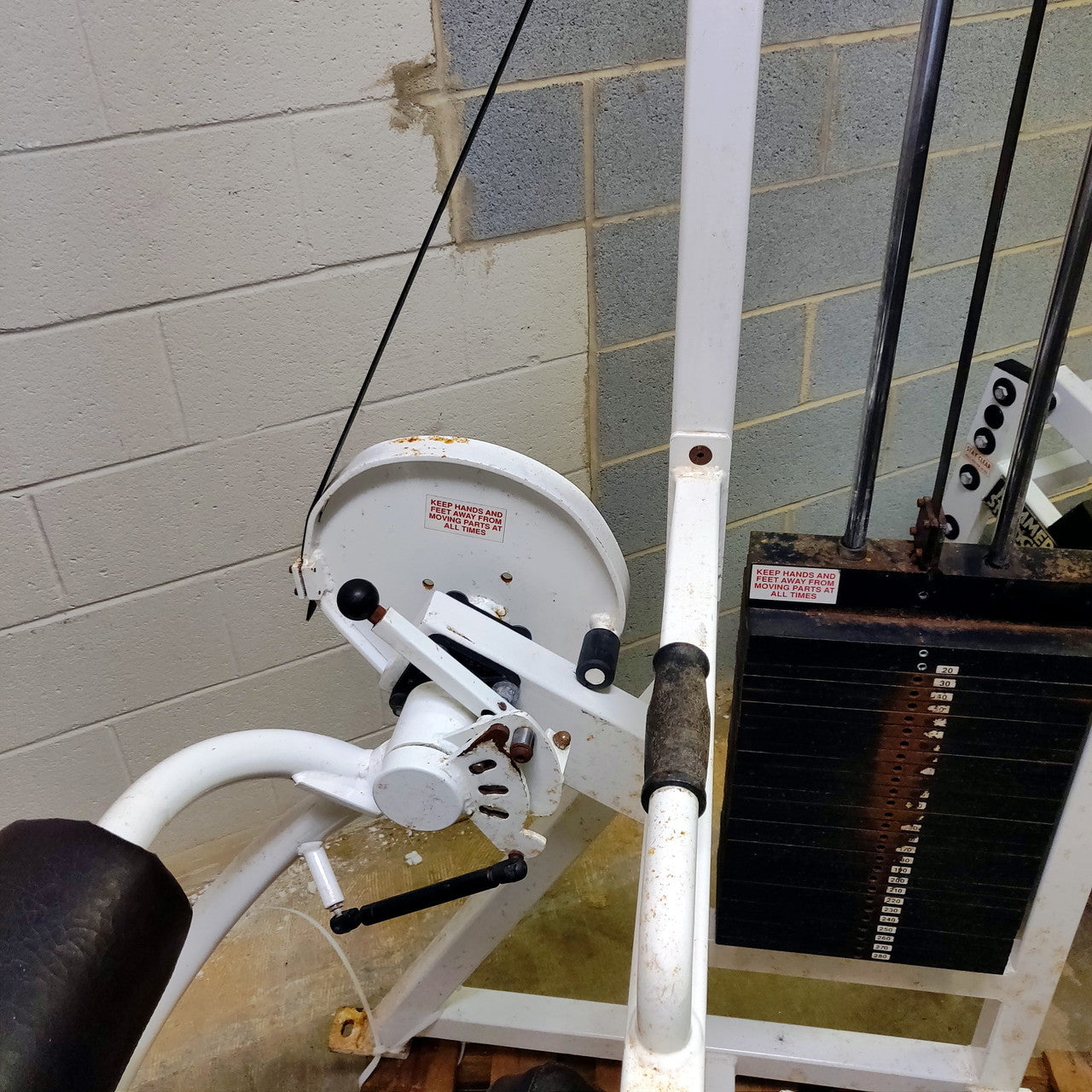 RARE Bodymasters Seated Leg Curl MD118