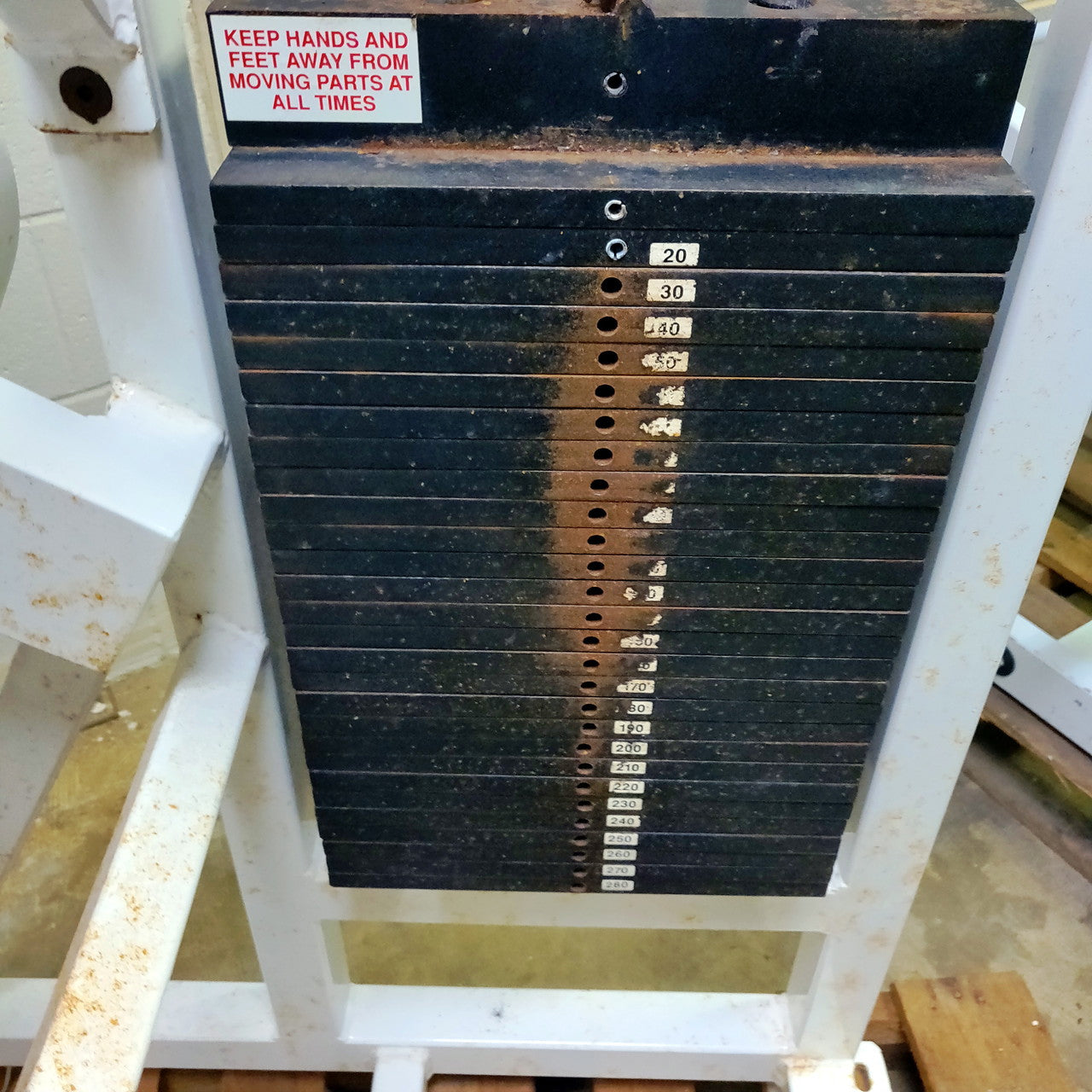 RARE Bodymasters Seated Leg Curl MD118