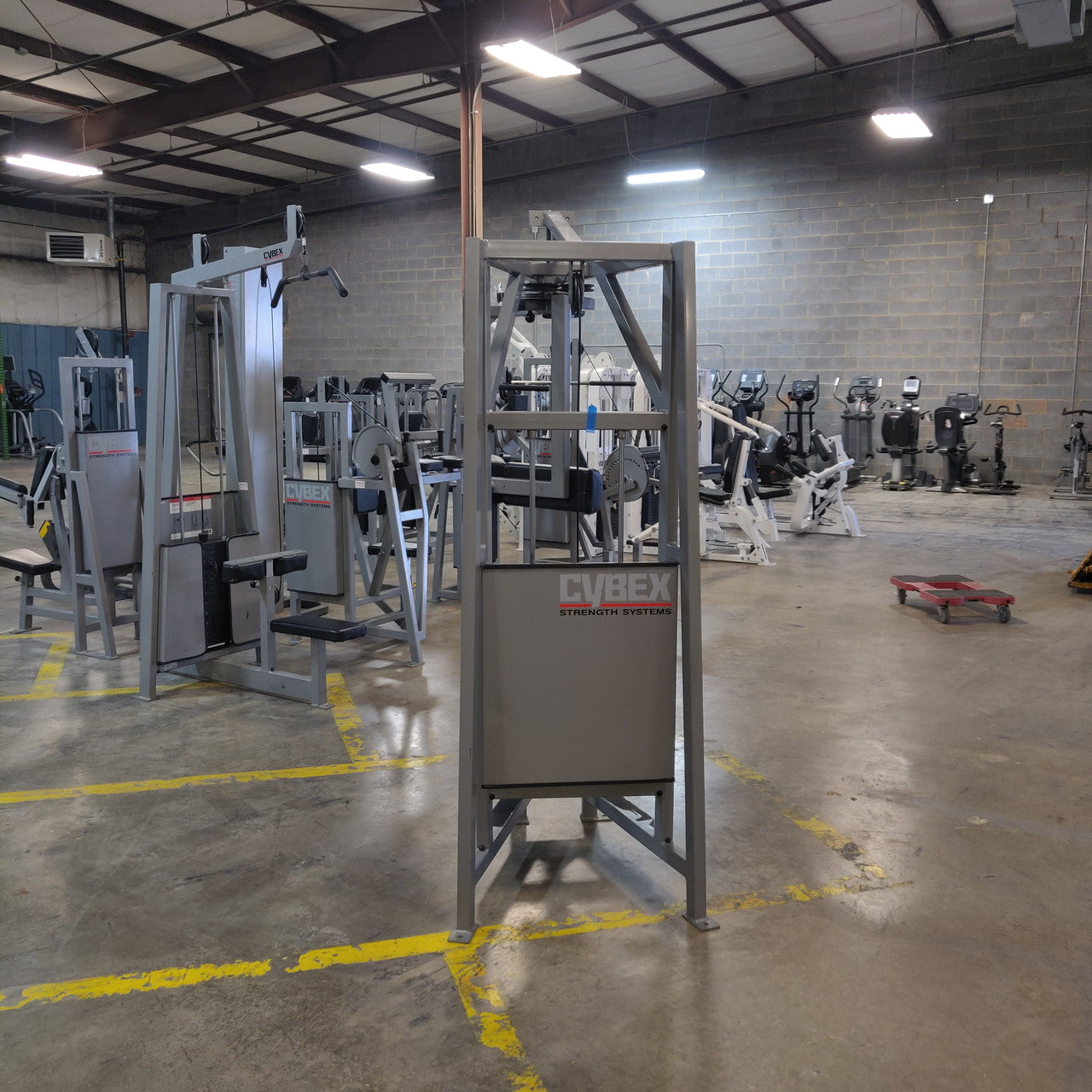 Rare Cybex Classic Rotary Torso