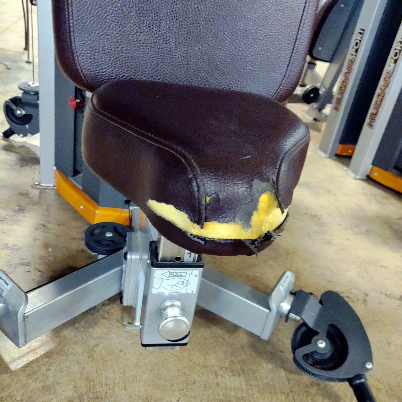 Star Trac Humansport Arm Curl Ab Bench