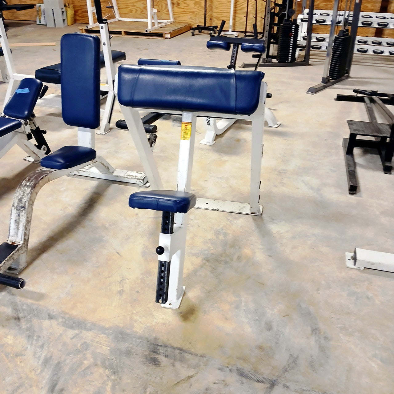 Streamline Preacher Curl Bench