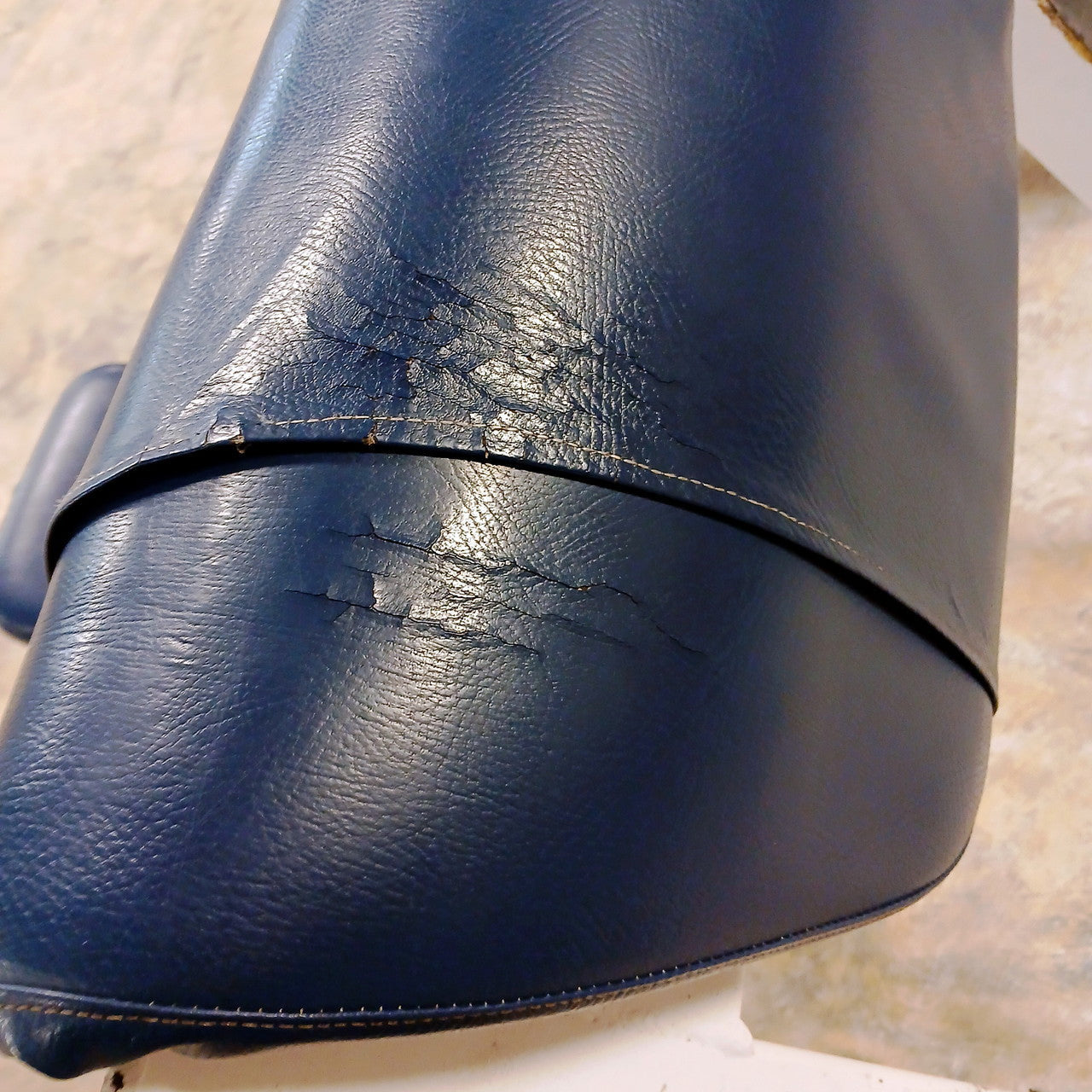 Streamline Preacher Curl Bench