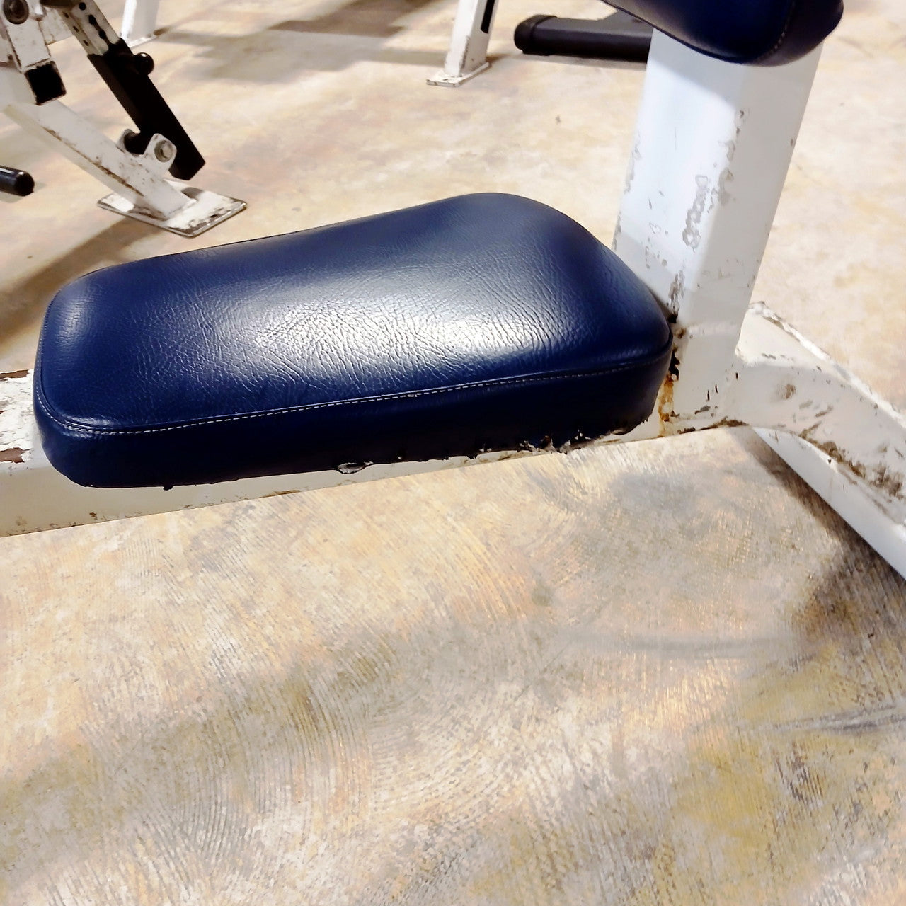 Streamline Upright Utility Bench with Foot holds