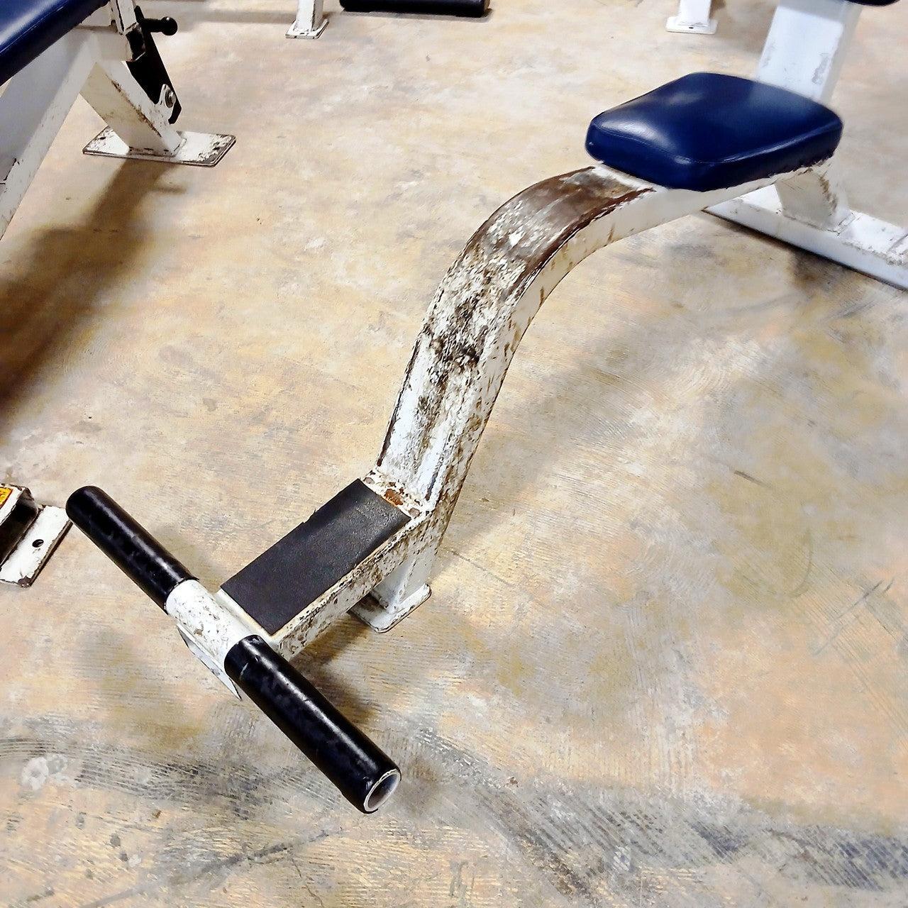 Streamline Upright Utility Bench with Foot holds