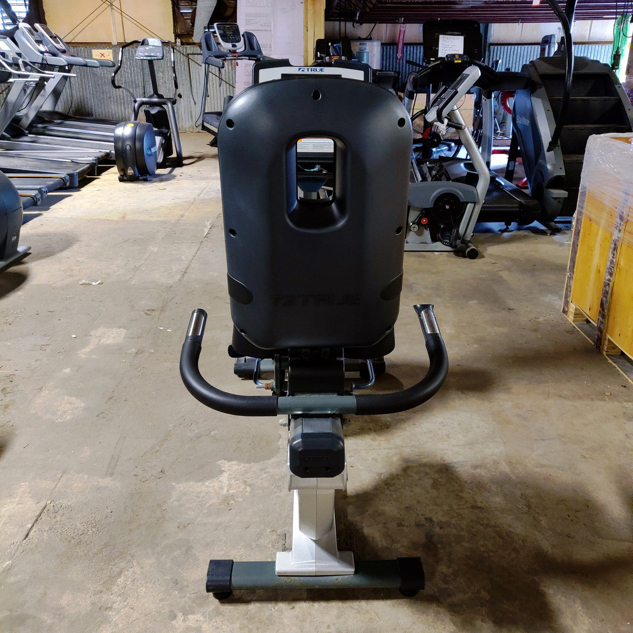 TRUE CS900 Recumbent Bike
