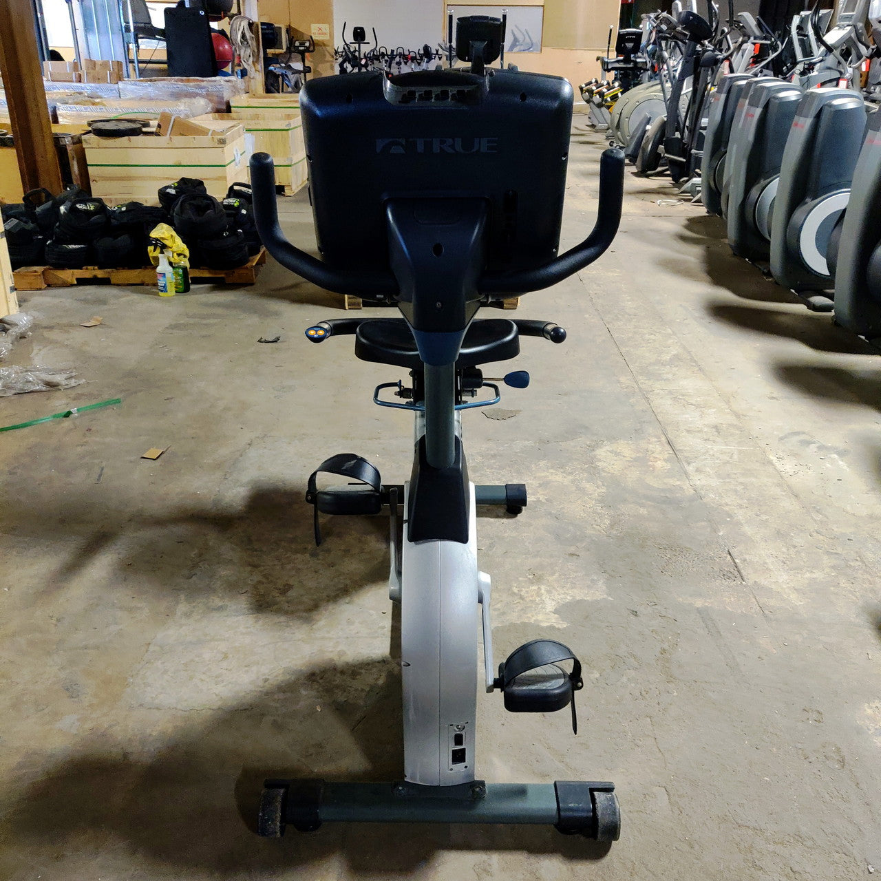 TRUE CS900 Recumbent Bike