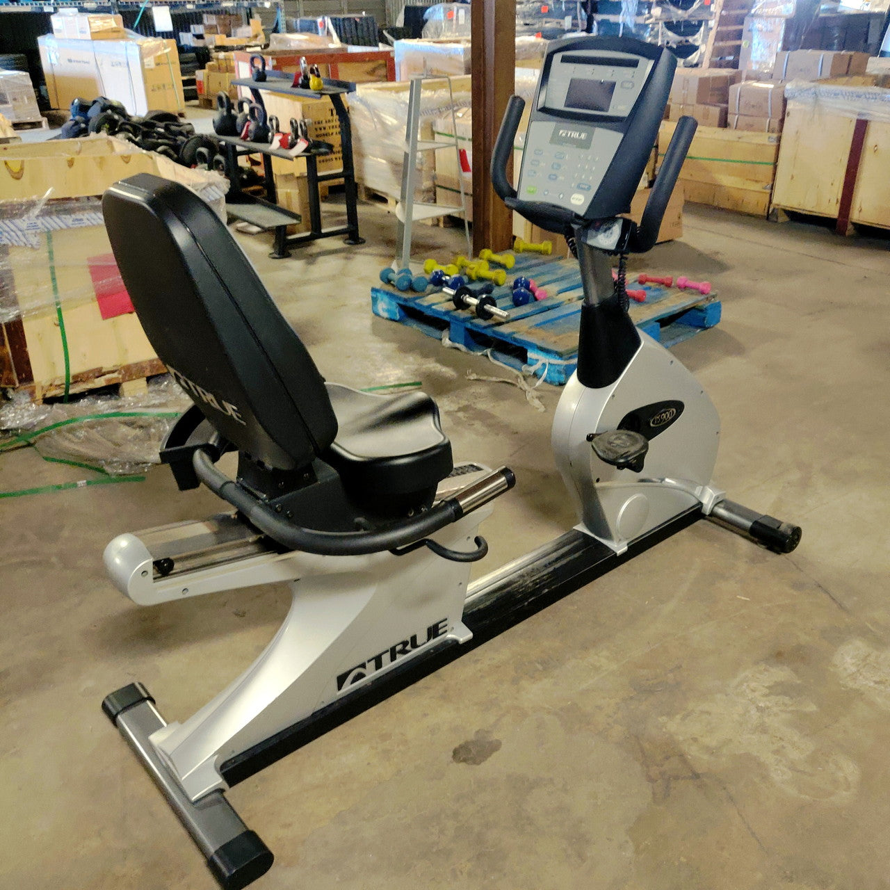 TRUE Recumbent Bike PS900