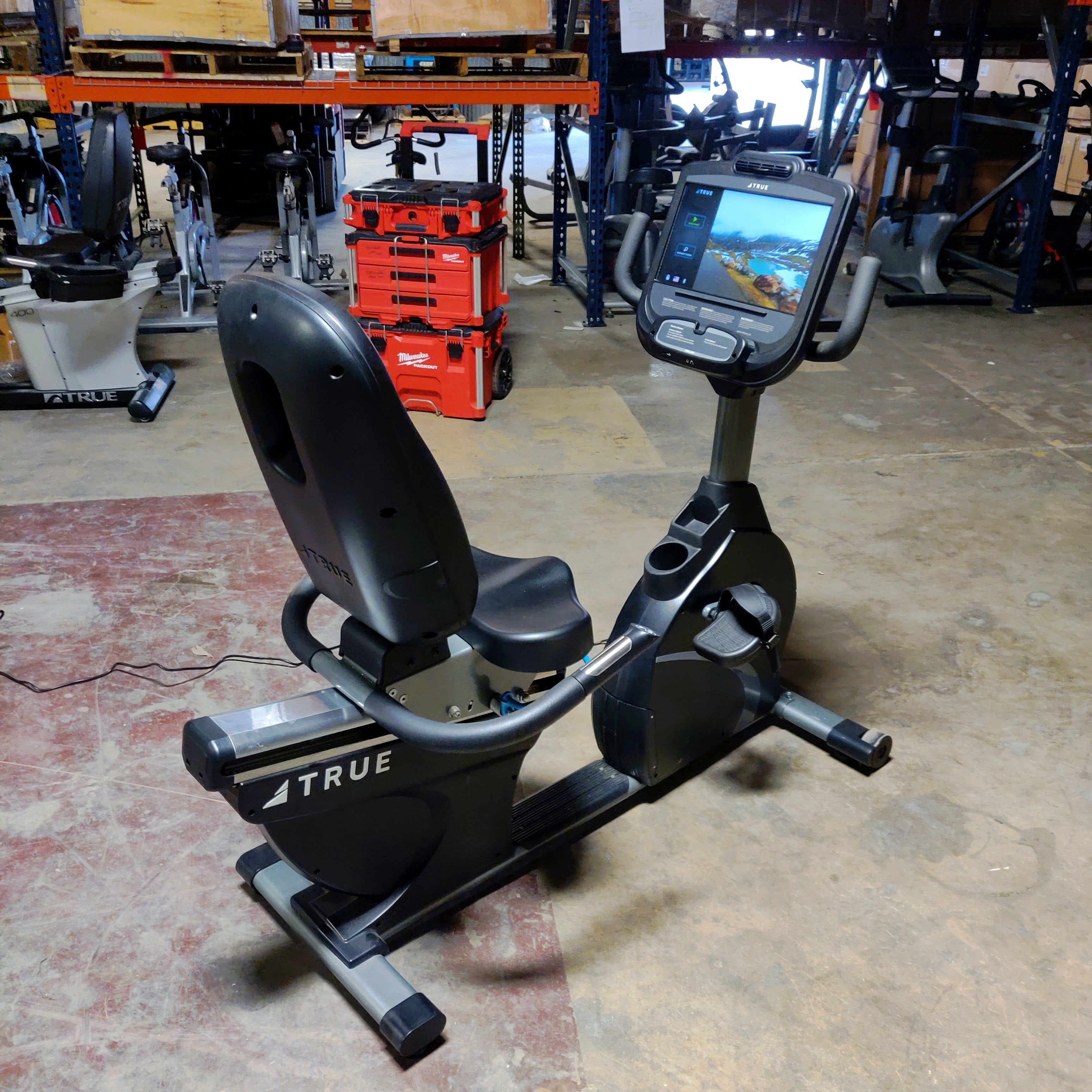 TRUE Recumbent Bike with Interactive Digital Console Screen RC900 Model