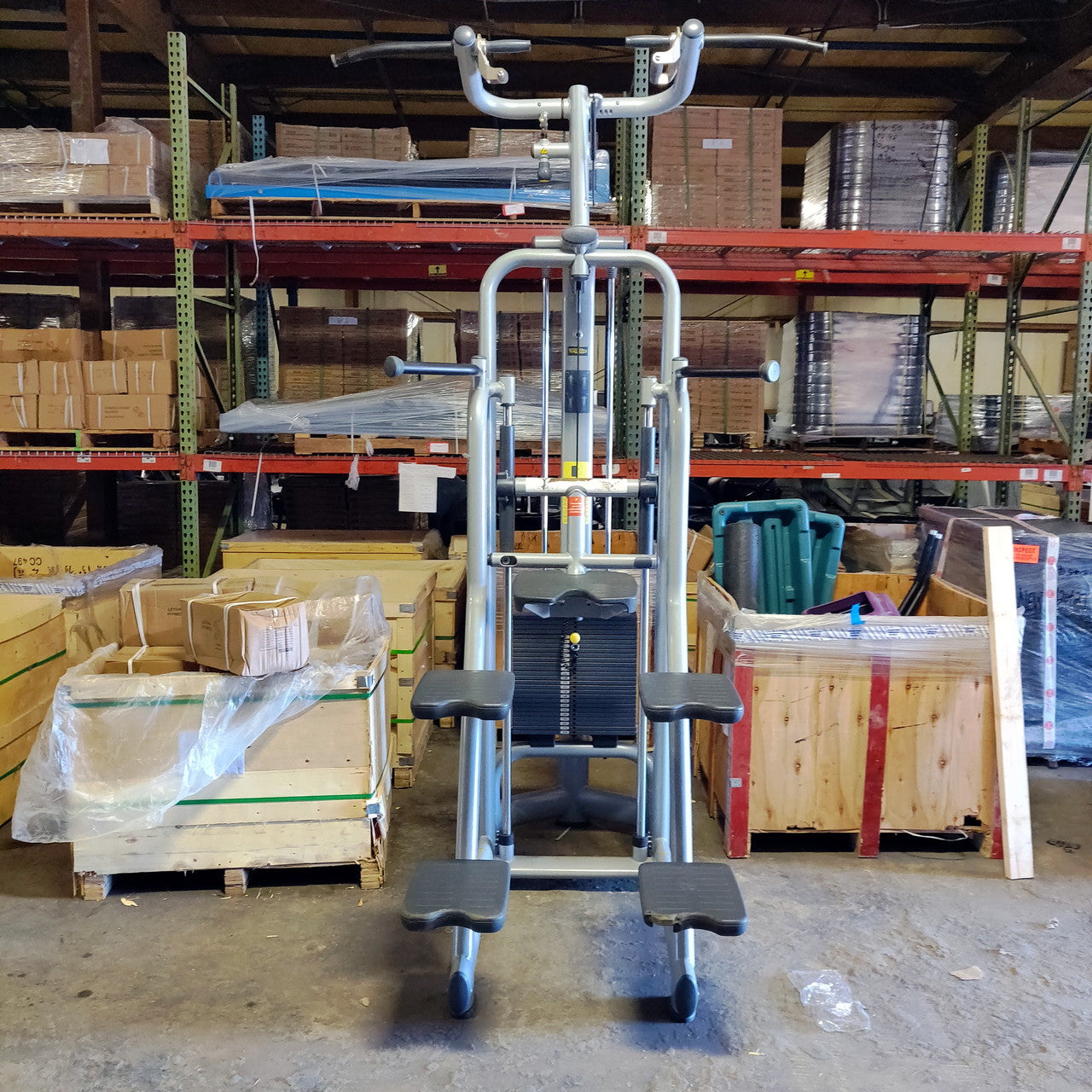 Technogym Selection Chin / Dip Assist