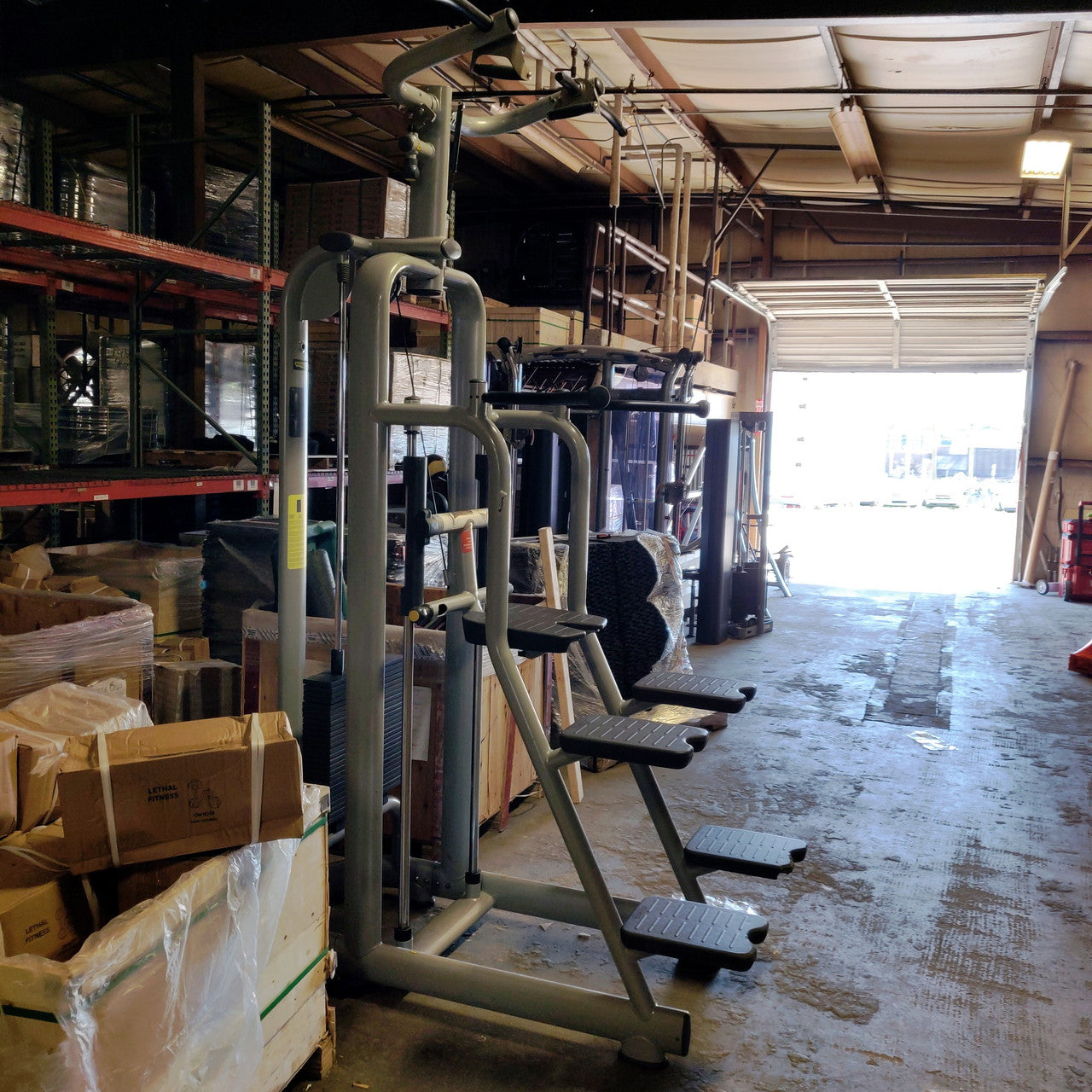 Technogym Selection Chin / Dip Assist