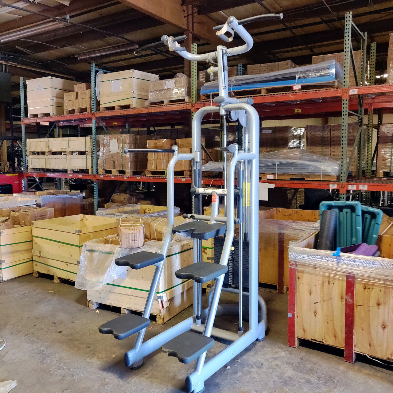 Technogym Selection Chin / Dip Assist