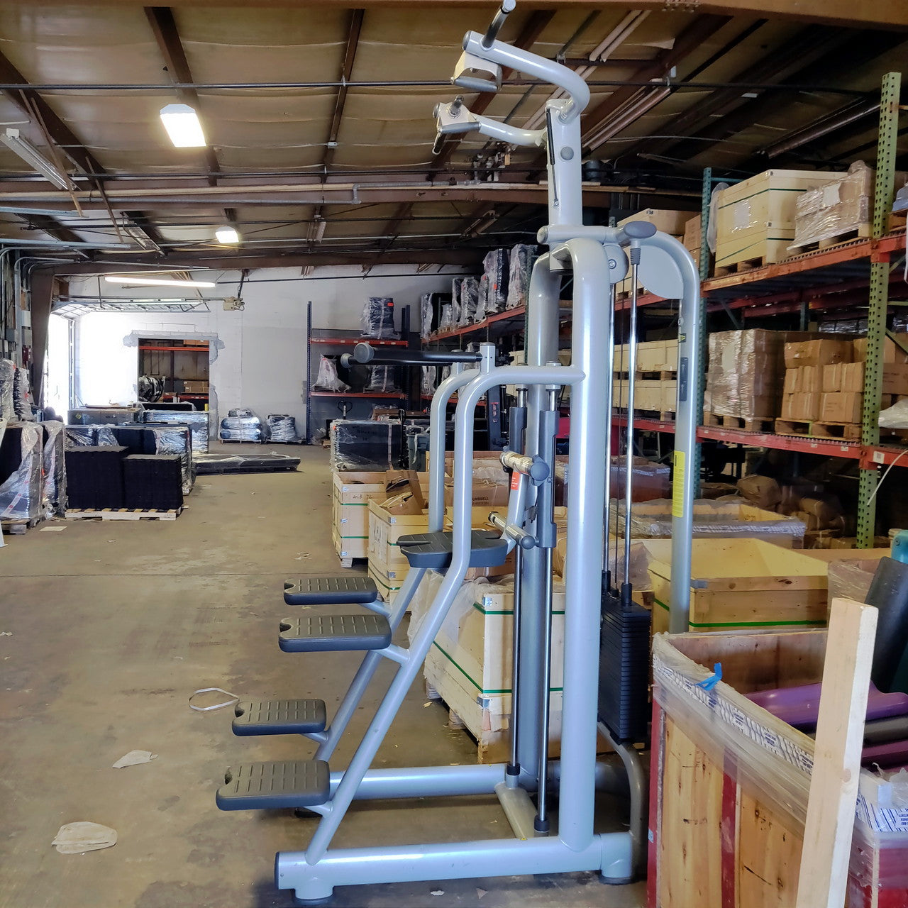 Technogym Selection Chin / Dip Assist