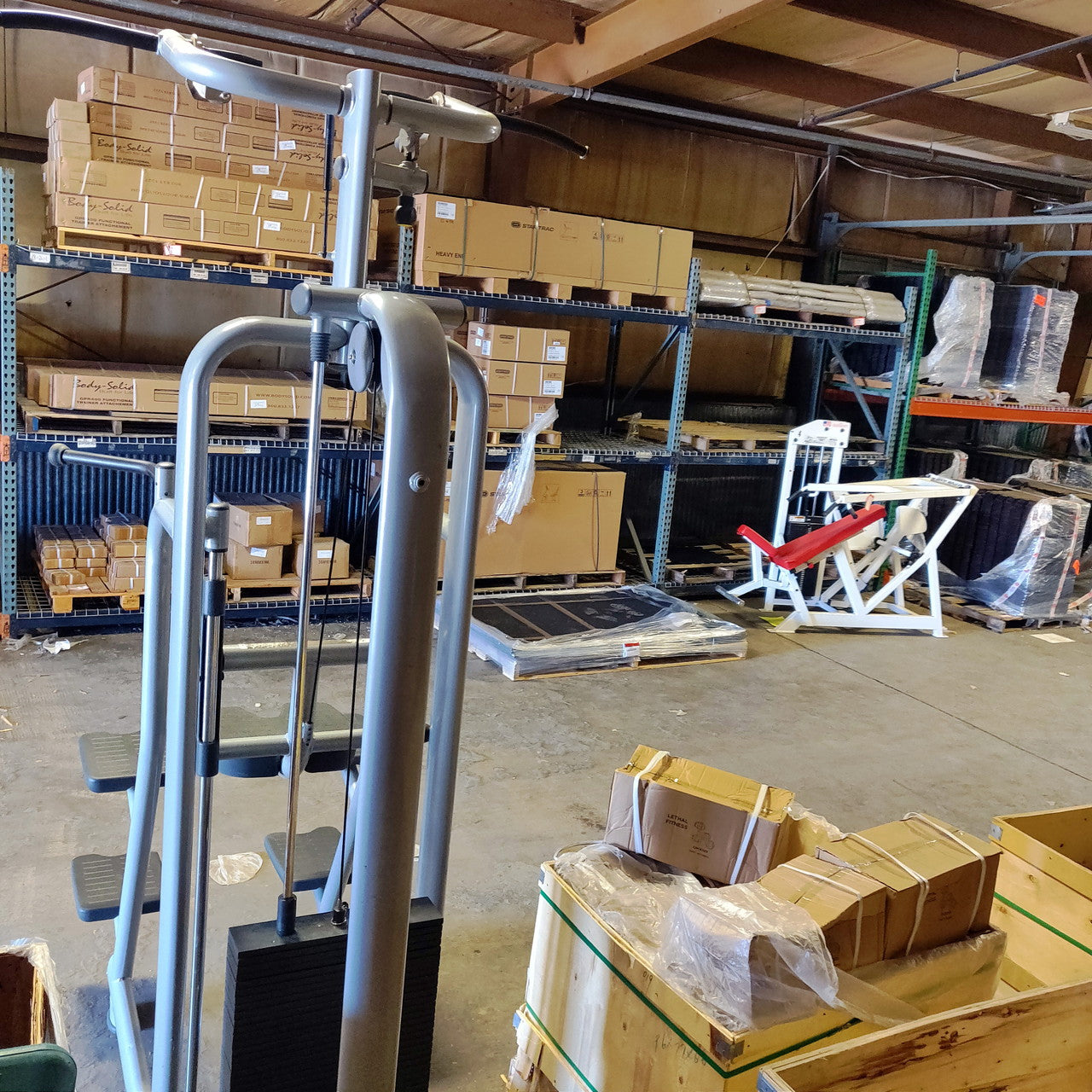 Technogym Selection Chin / Dip Assist