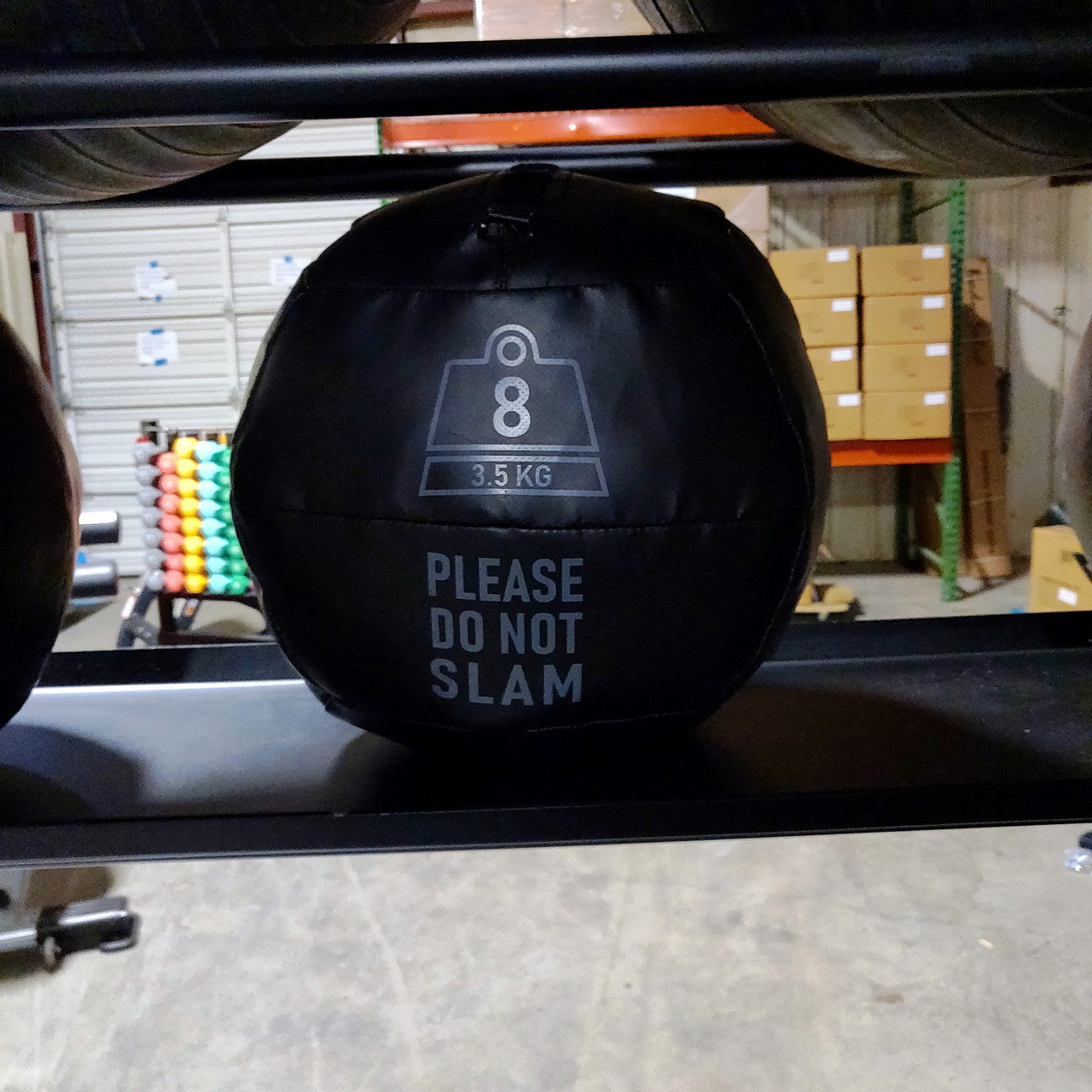Throwdown Storage Unit (Bolt-Down) for Medicine Balls, Dumbbells, and MORE!