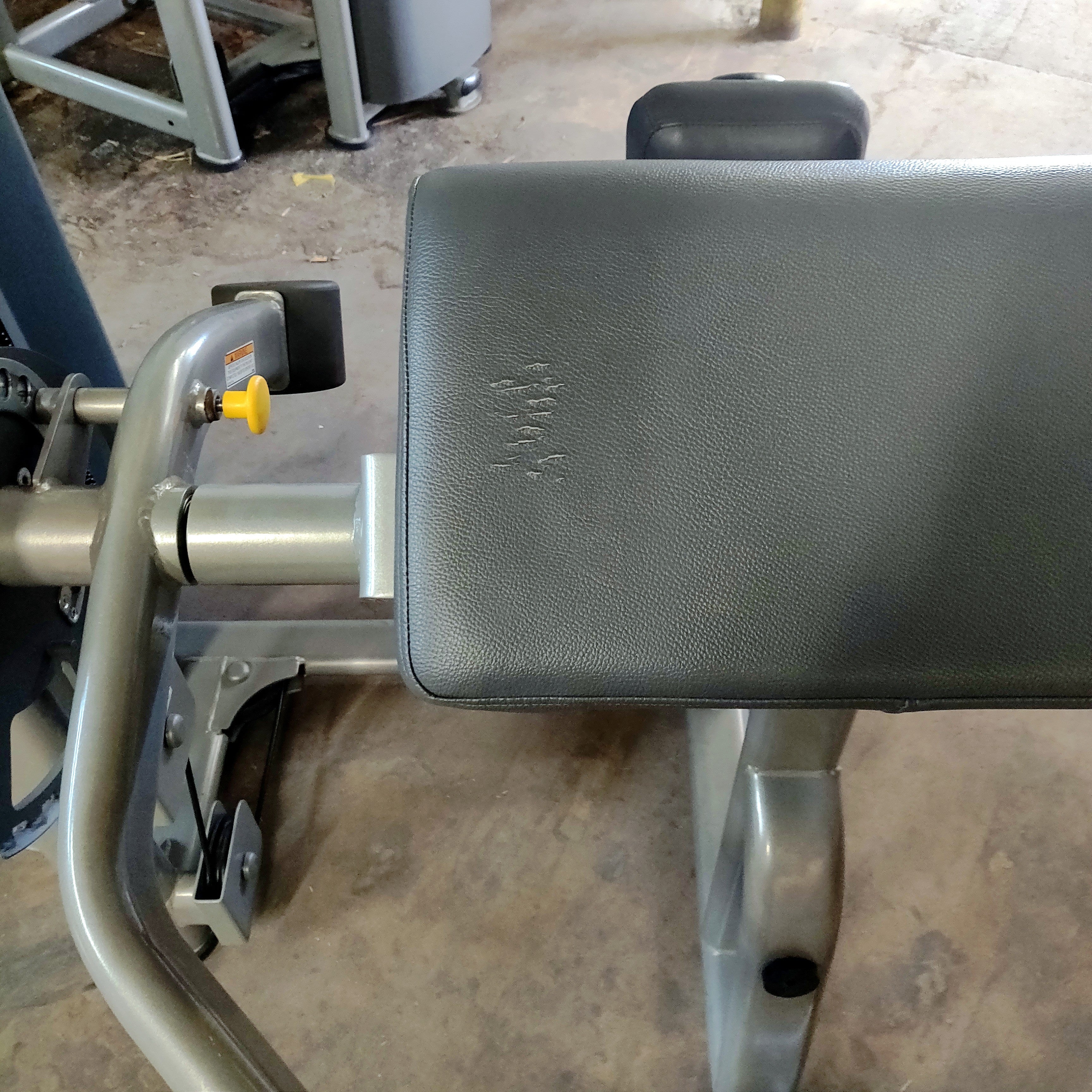 Paramount Bicep/Tricep Extension Combo