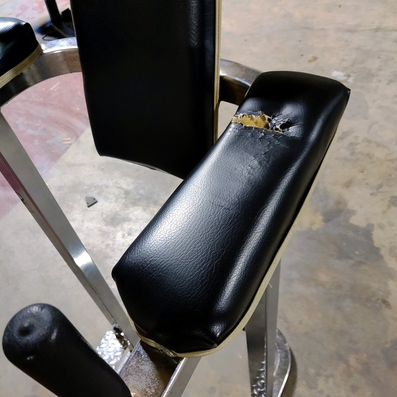 Vertical Knee Raise and Dip Station