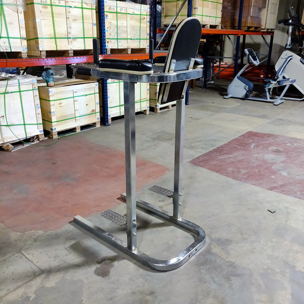 Vertical Knee Raise and Dip Station