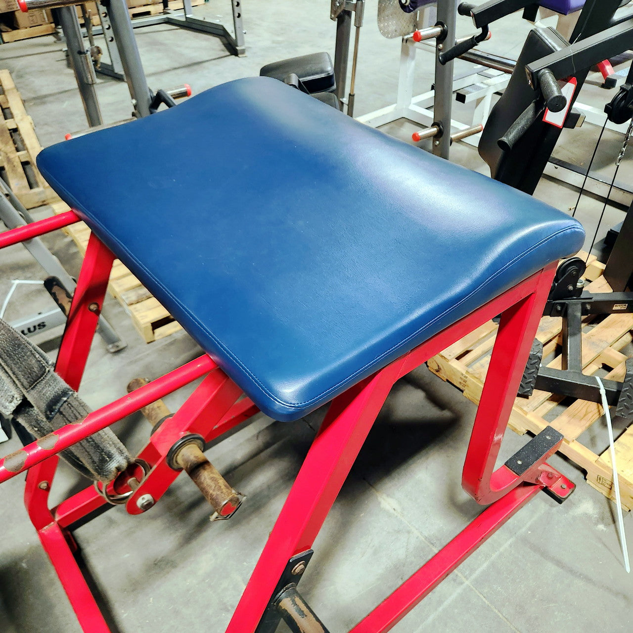 Wilder Reverse Hyper Westside Strength Machine