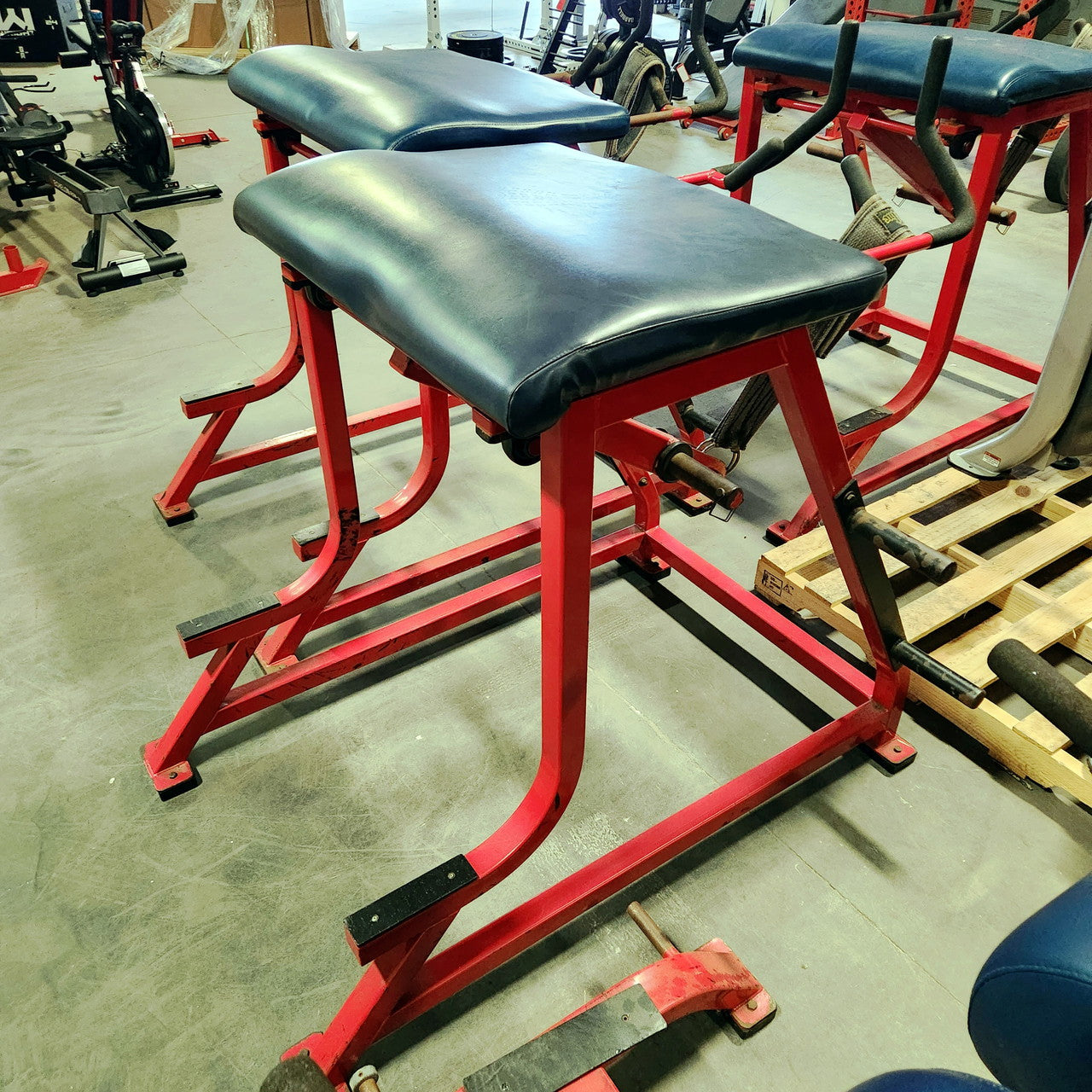 Wilder Reverse Hyper Westside Strength Machine