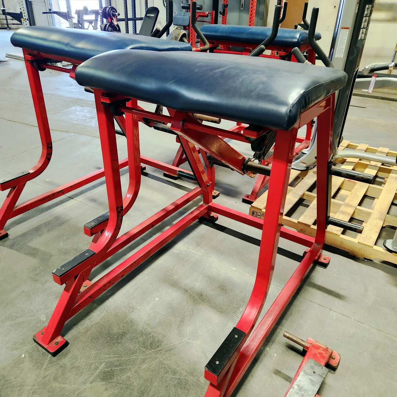 Wilder Reverse Hyper Westside Strength Machine