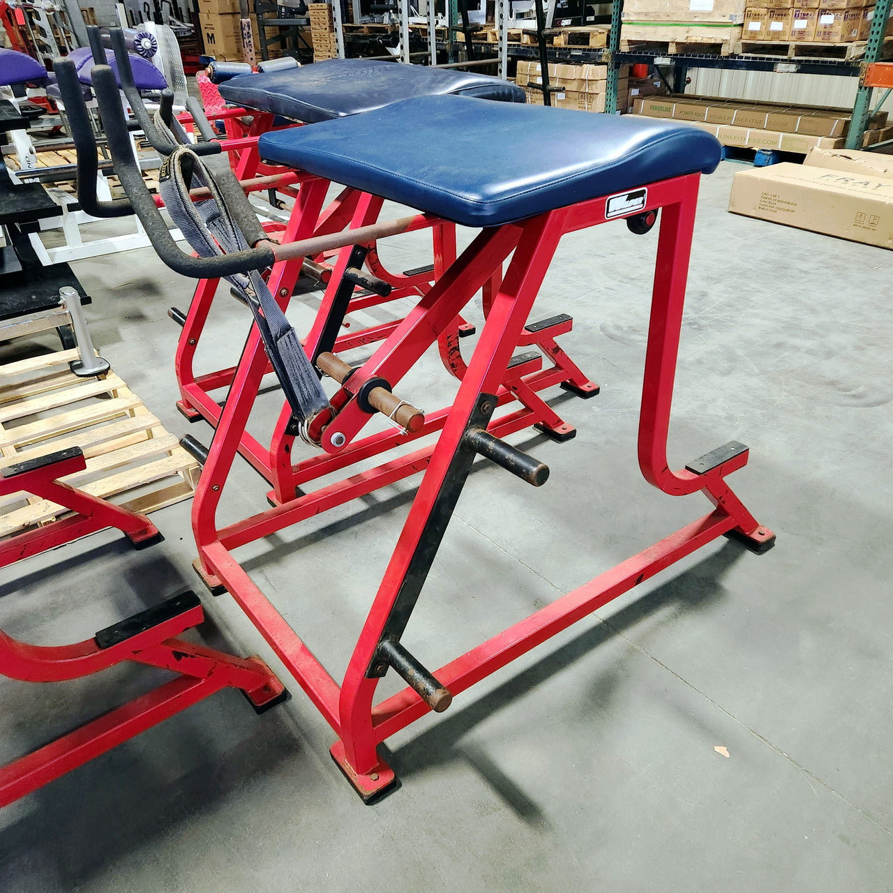 Wilder Reverse Hyper Westside Strength Machine