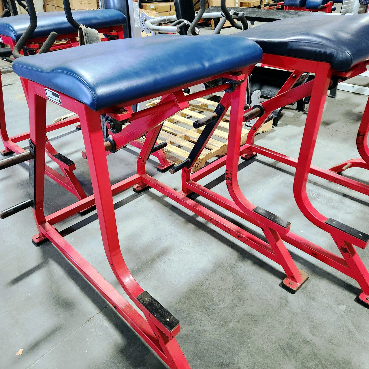 Wilder Reverse Hyper Westside Strength Machine