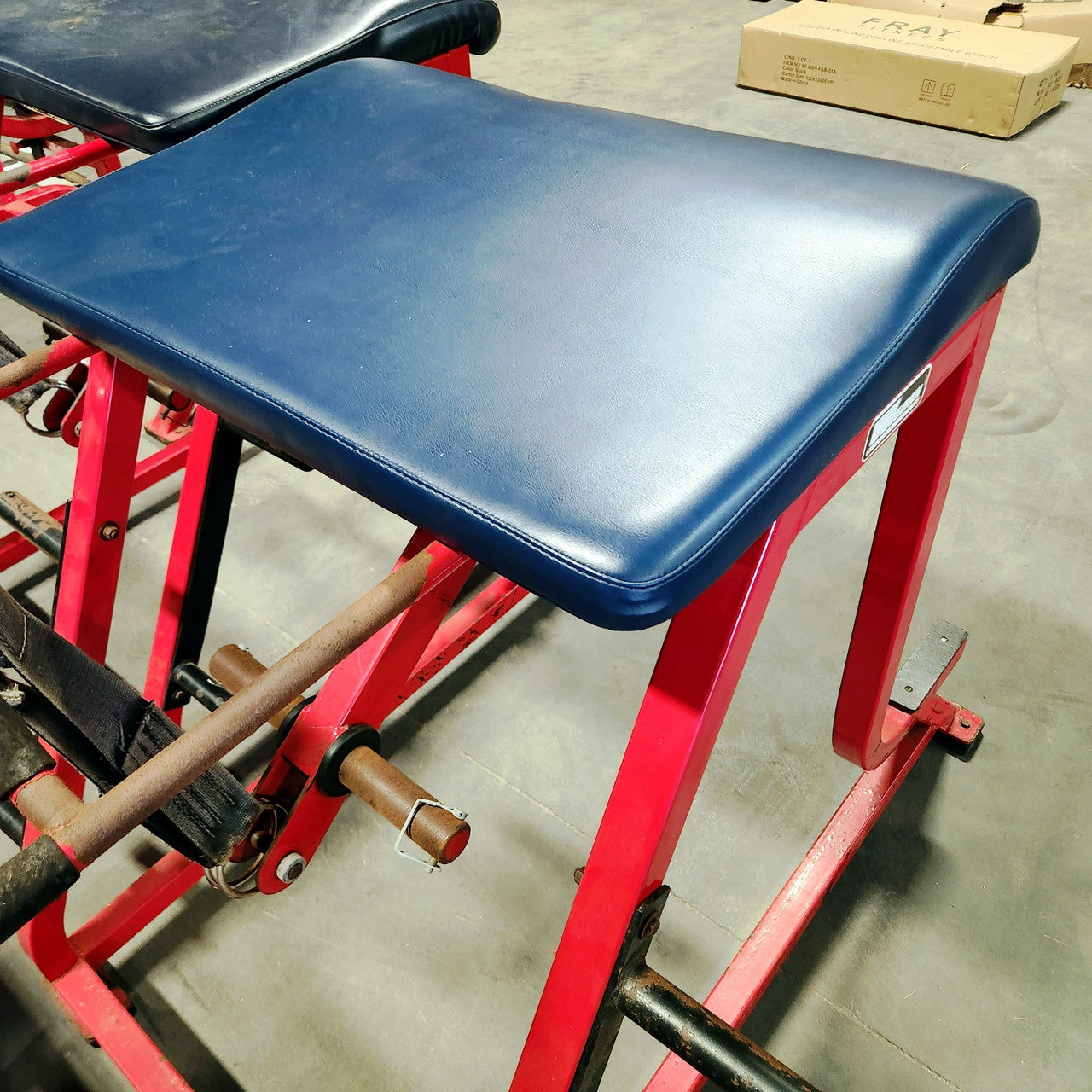 Wilder Reverse Hyper Westside Strength Machine