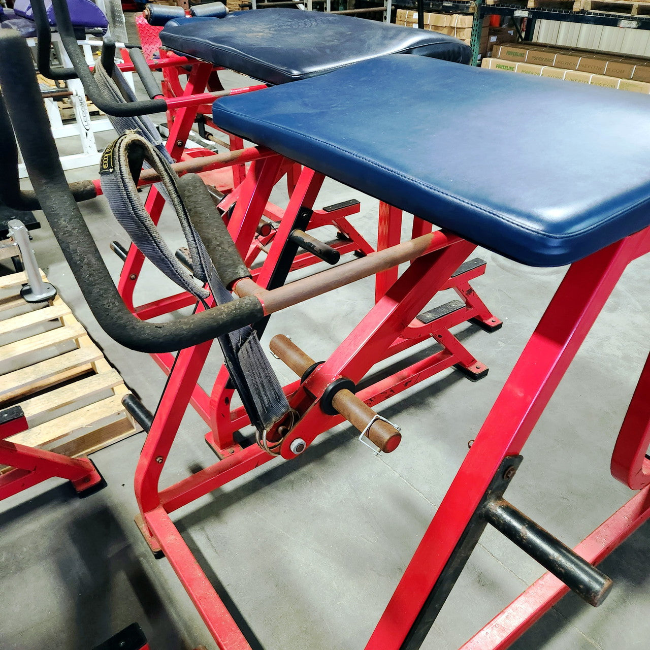 Wilder Reverse Hyper Westside Strength Machine