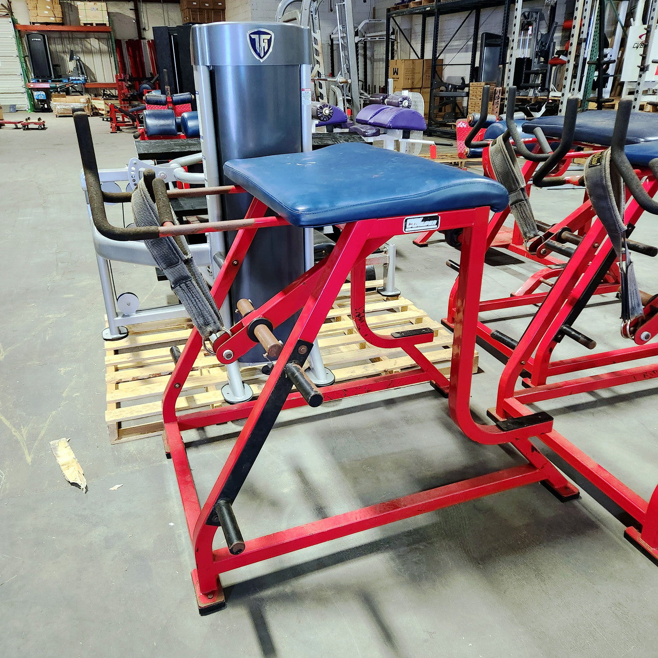 Wilder Reverse Hyper Westside Strength Machine