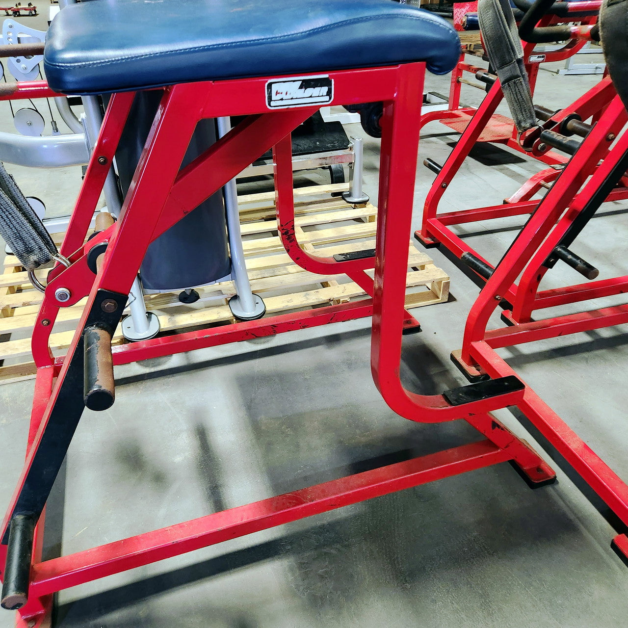 Wilder Reverse Hyper Westside Strength Machine