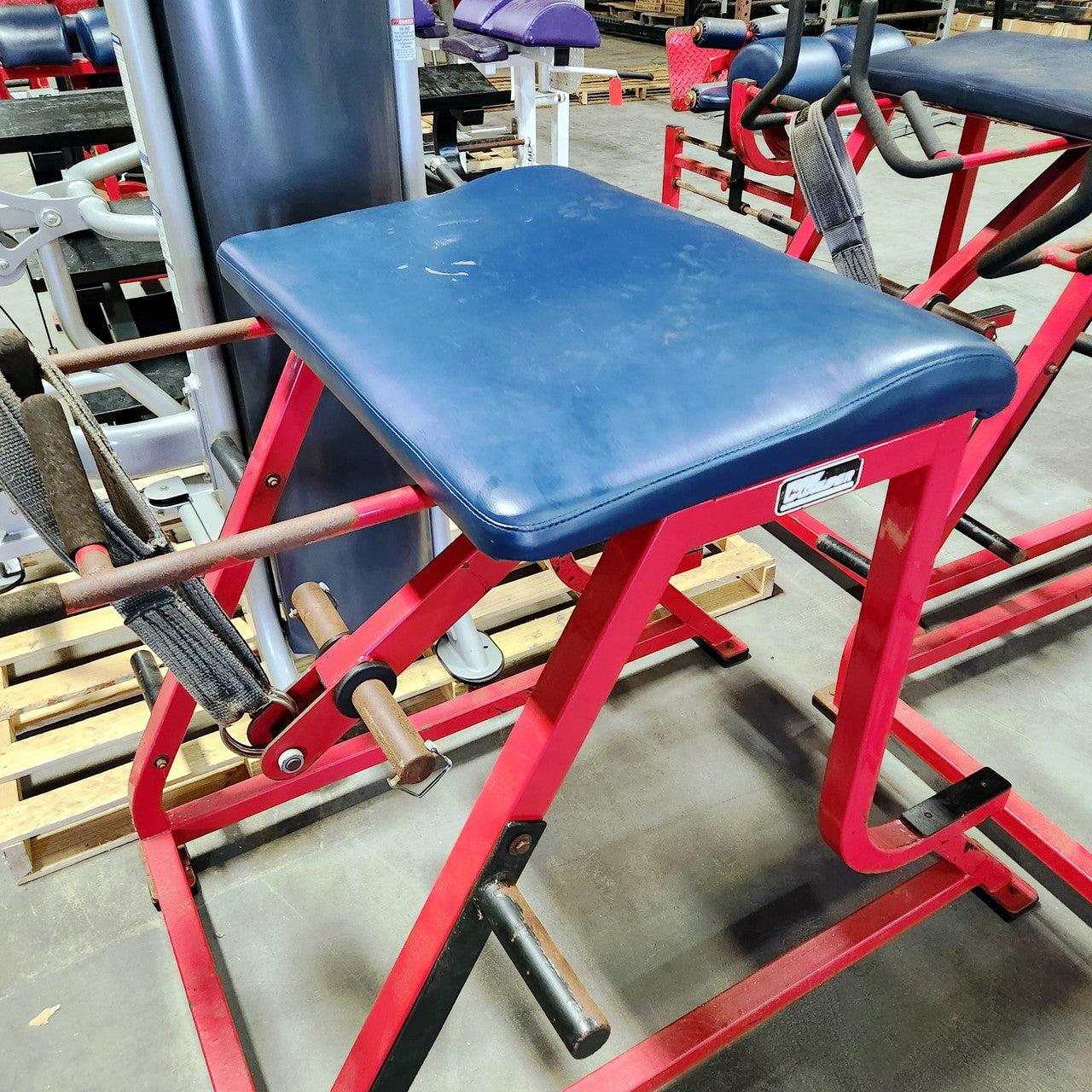 Wilder Reverse Hyper Westside Strength Machine