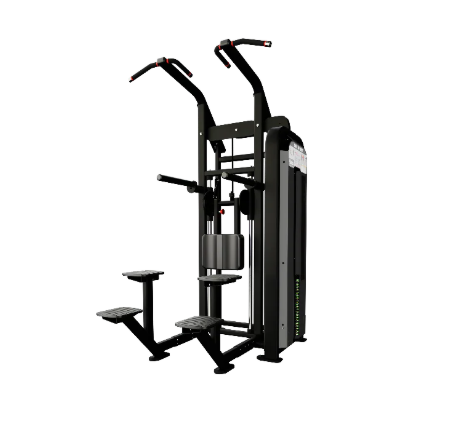 Nautilus Impact Chin Dip Assist