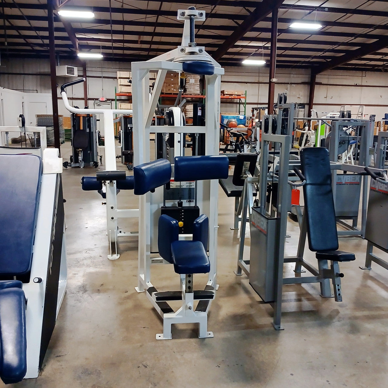 Cybex VR Rotary Torso - 4201