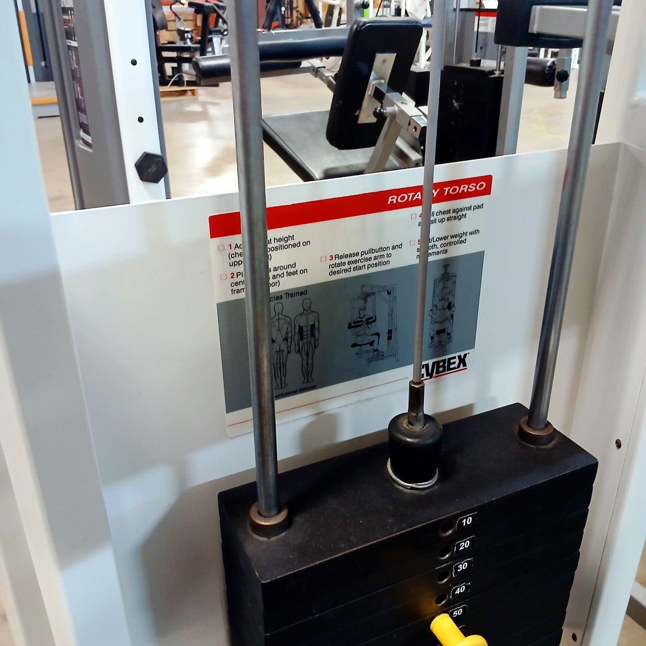 Cybex VR Rotary Torso - 4201
