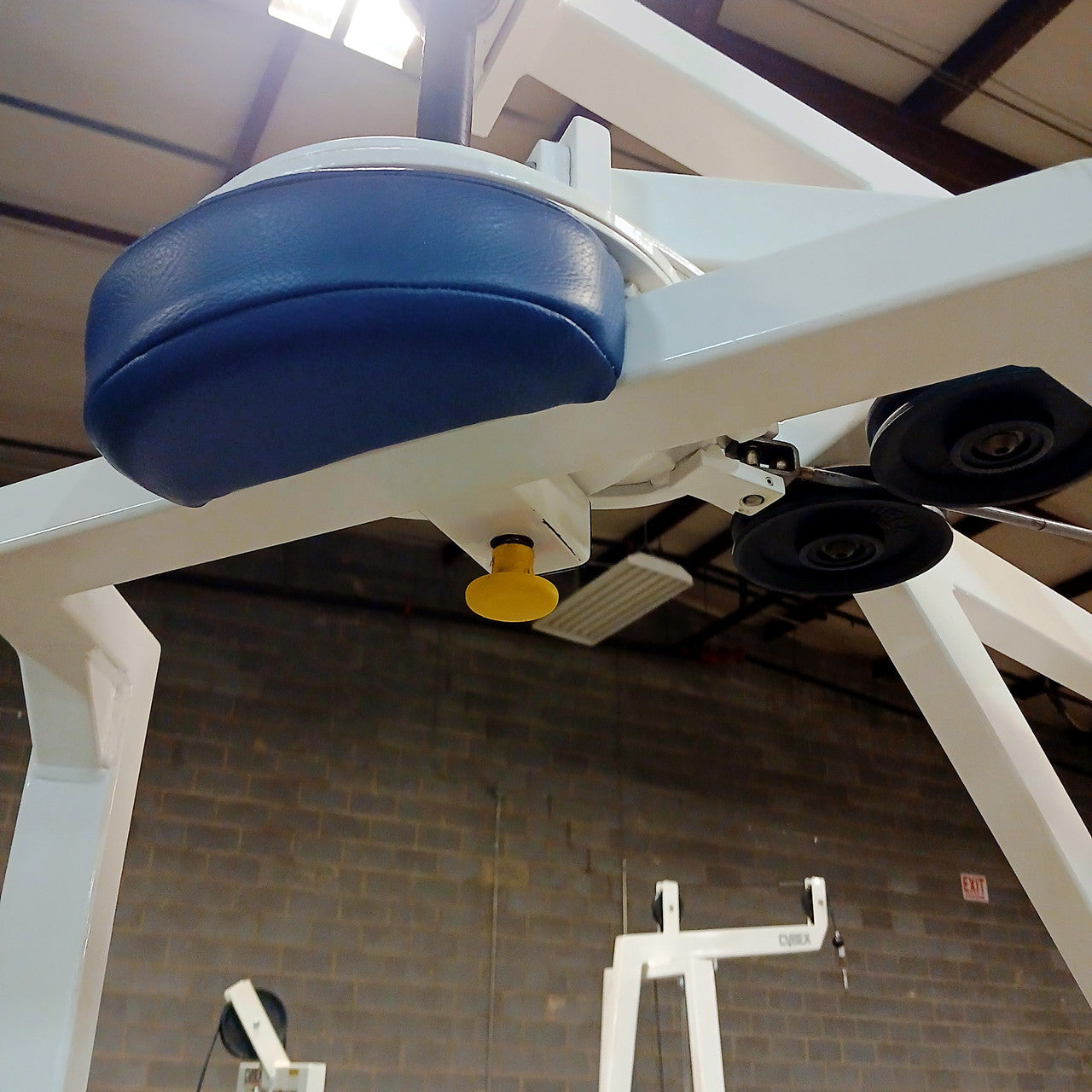 Cybex VR Rotary Torso - 4201