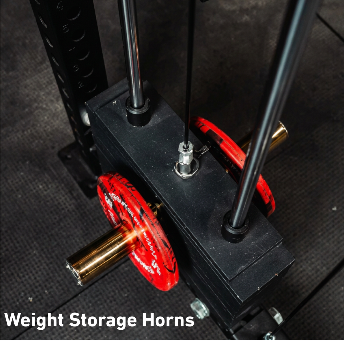 NEW FULLY LOADED FringeSport Dane 2.0 Half Rack Functional Trainer