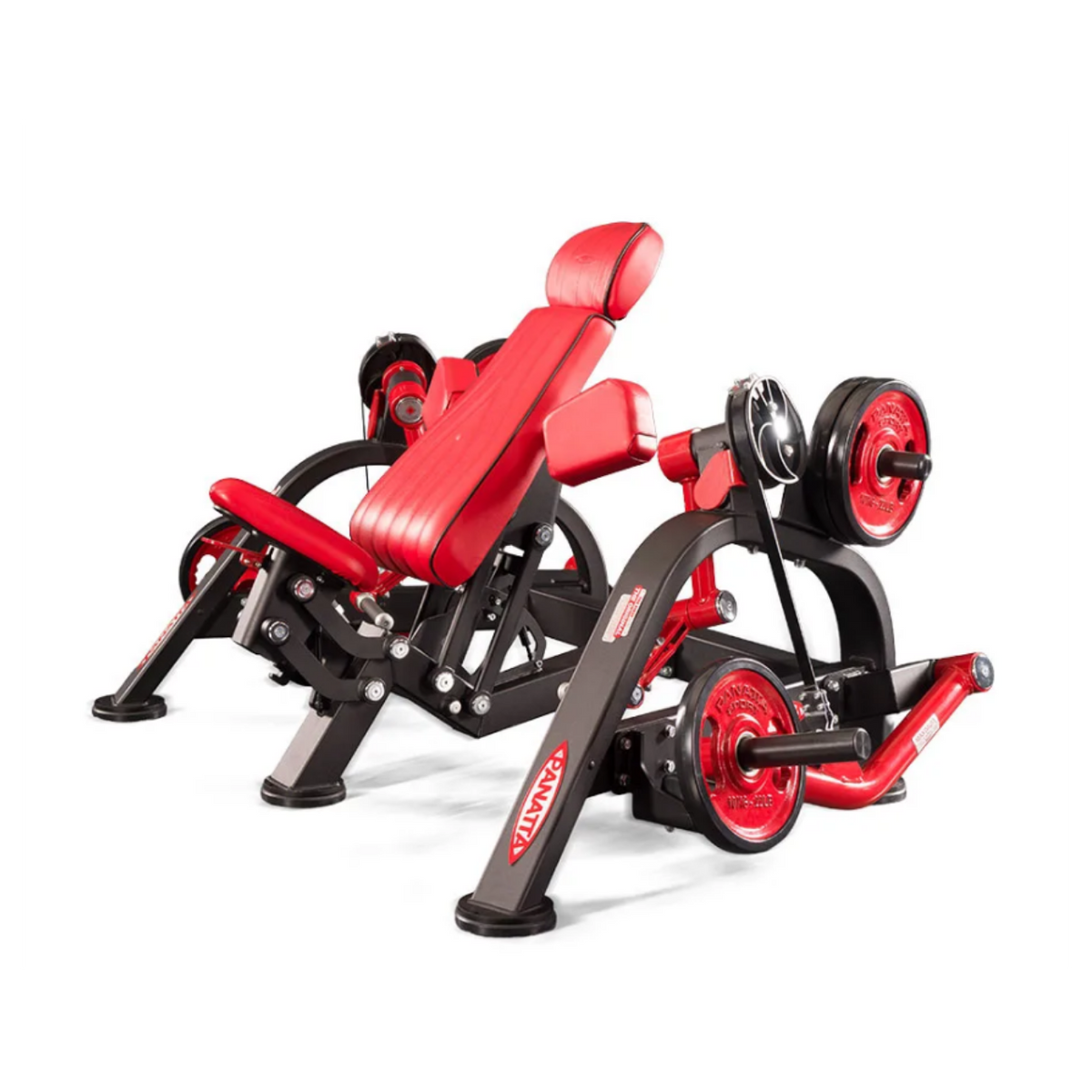 Panatta FreeWeight Special Alternate Arm Curl