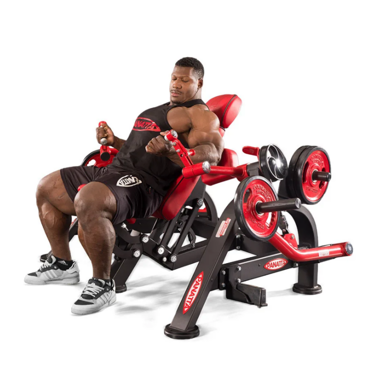 Panatta FreeWeight Special Alternate Arm Curl