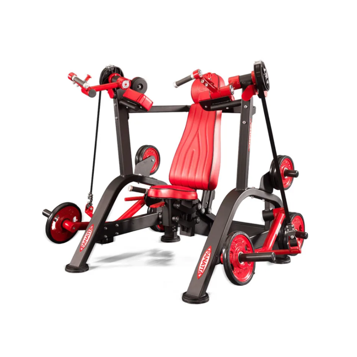 Panatta FreeWeight Special Alternate Arm Curl 120