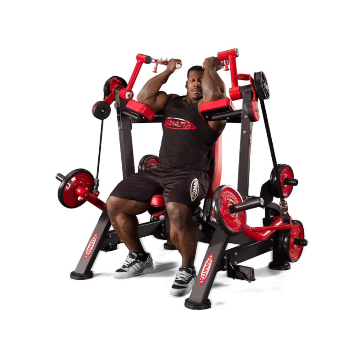 Panatta FreeWeight Special Alternate Arm Curl 120