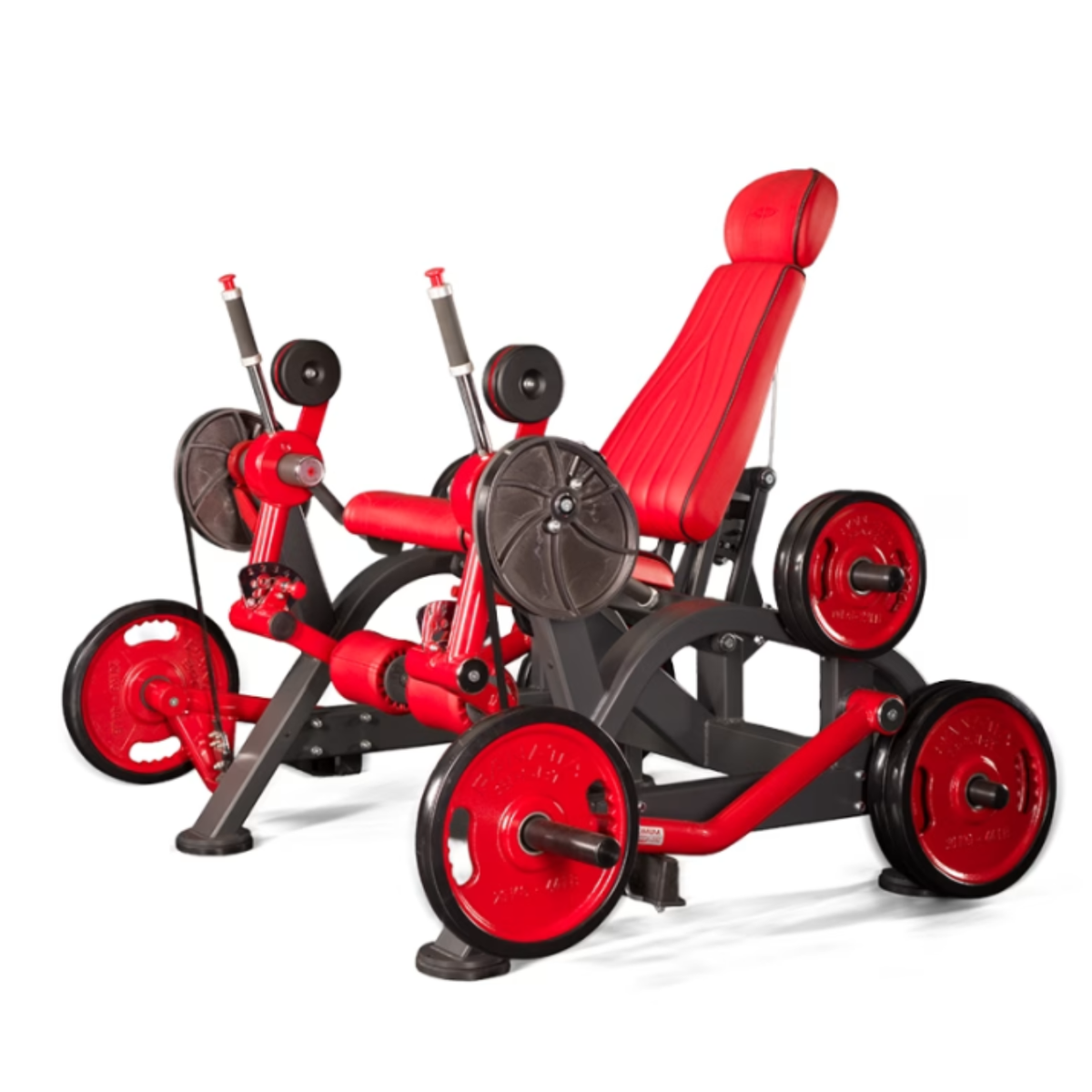 NEW Panatta Freeweight Special Alternate Leg Extension