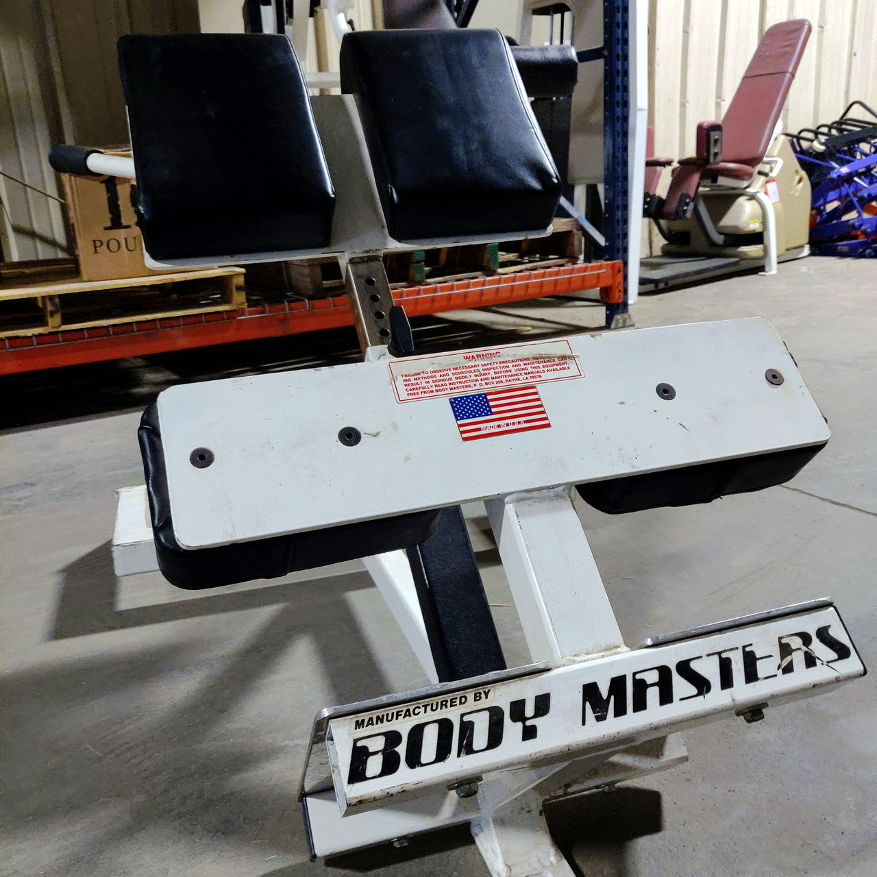 Body Masters Back Extension 45 Degree Bench