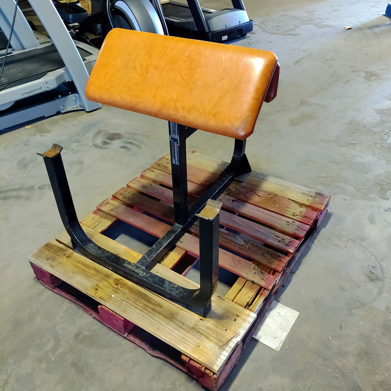 Champion Preacher Curl Bench